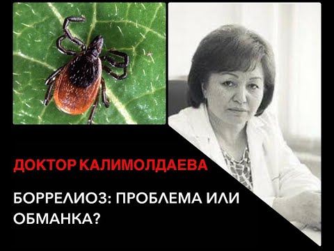 Видео: Боррелиоз: проблема или обманка?
