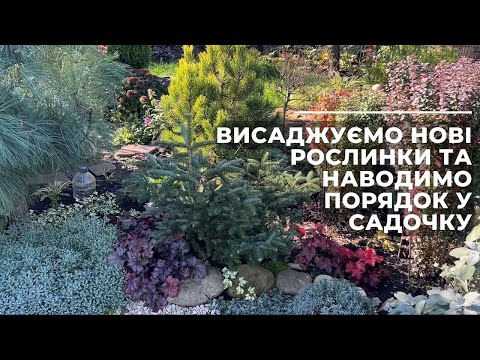 Видео: Висаджуємо нові рослинки та наводимо порядок у садочку