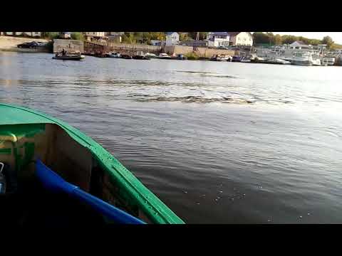 Видео: По катушки на ПВХ и Казанке моторы гибриды Стрела-Чемпион 6 и7 сил.