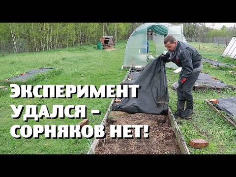 Видео: НАШЛИ ЭЛЕМЕНТАРНЫЙ СПОСОБ БОРЬБЫ С СОРНЯКАМИ!