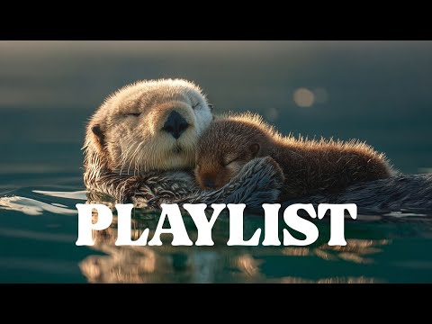 Видео: 🦦 В дни, когда хочется просто тихого объятия | float softly — cozy indie playlist