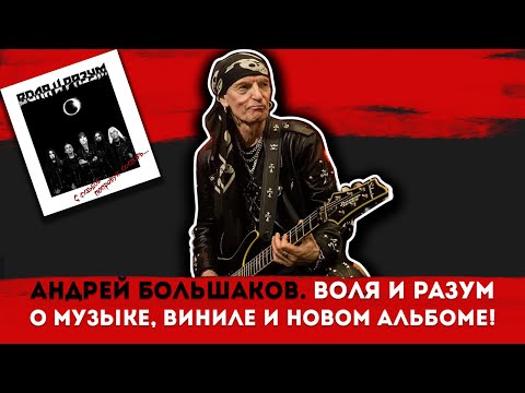 Видео: Андрей Большаков | Винил, Музыка, Жизнь | Воля и Разум — Новинки и планы