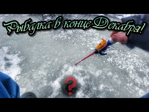 Видео: НЕ ОЖИДАЛ ПОЙМАТЬ ЕГО В ЭТОЙ РЕКЕ)КЛЁВАЯ РЫБАЛКА НА МОТЫЛЯ ПО ПЕРВОМУ ЛЬДУ.