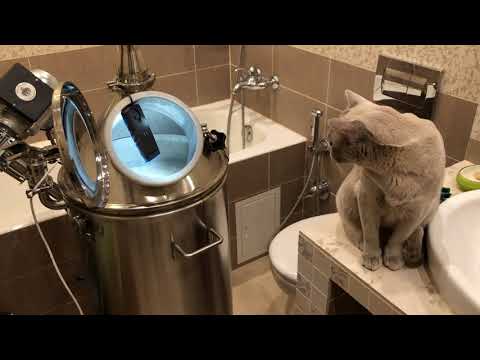 Видео: Брага на пшеничном солоде ГОС (горячее осахаривание), красная схема с использованием ПВК.