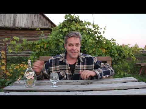 Видео: Водка. ""Перепёлка" домашняя"". Эко?