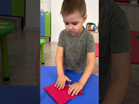 Видео: 11 ноября 2025 г.