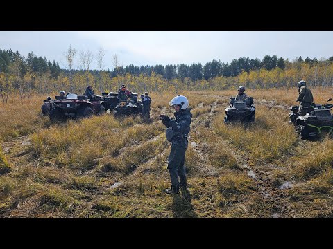 Видео: #Покорители ковровых болот.🔥🔥