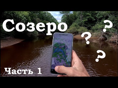 Видео: В поисках Созеро (часть 1). ЕАО, Биробиджан, р.Урми. 19 августа 2023 г.