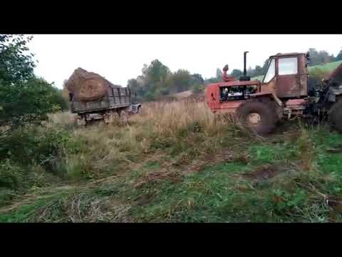 Видео: ЗИЛ 157 на сенокосе. Сентябрь 2021 года.