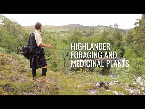 Видео: Ночевка в лагере горцев, поиск пропитания и лекарственные растения (гэльские названия растений, в...