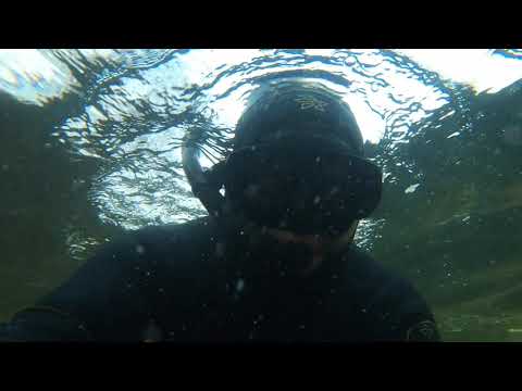 Видео: Сиг на реке Пиренга Мурманской области