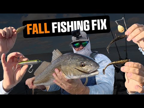 Видео: 4 незаменимые прибрежные приманки для грязной воды и ветреной погоды (полный разбор!)