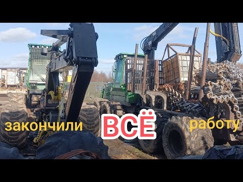 Видео: На этот год все. Лес.