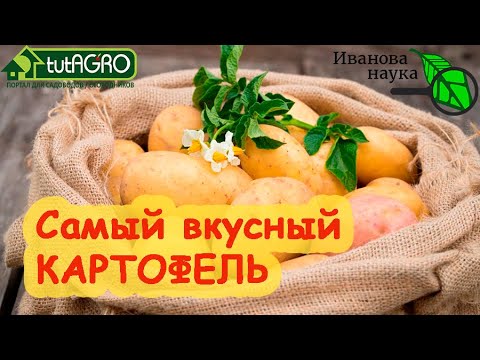 Видео: НАЗВАН САМЫЙ ВКУСНЫЙ СОРТ КАРТОФЕЛЯ! Этот картофель - вне конкуренции. Очень вкусный и урожайный!