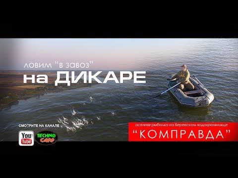 Видео: Ловля в Завоз на Дикаре. Осень 2019