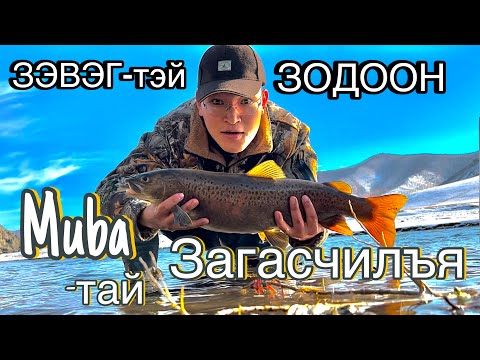 Видео: 🎣ЗЭВЭГ-ТЭЙ ЗОДООН🎣 Мөба-тай загасчилъя [ Lenok fight in Mongolia, Fishing in Mongolia]