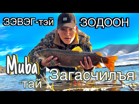 Видео: 🎣ЗЭВЭГ-ТЭЙ ЗОДООН🎣 Мөба-тай загасчилъя