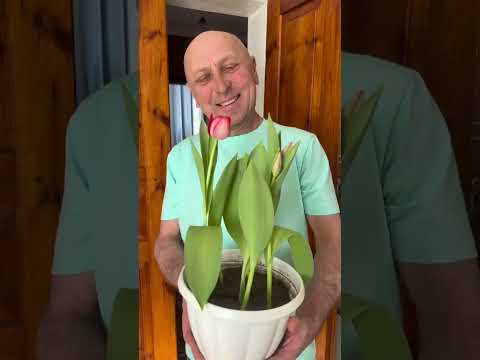 Видео: Когда решил пожить без жены