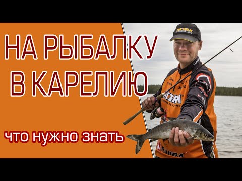 Видео: Что нужно знать, отправляясь на рыбалку в Карелию?