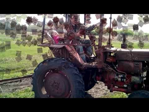 Видео: Посев кукурузы польской конной сеялкой.