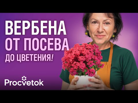 Видео: НЕ ЦВЕТОК, А ВОСТОРГ! Обязательно посейте его в марте – и наслаждайтесь пышным цветением до морозов