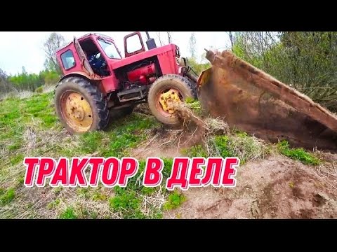 Видео: ТРАКТОР В ДЕЛЕ. Забрали огромный конвейер. Металлокоп. NOKTA MAKRO Simplex Plus