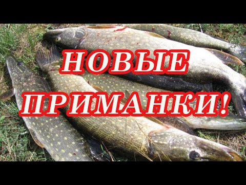 Видео: Почему Новичок меньше ловит! Нужно ловить Щуку только НА НОВЫЕ ВОБЛЕРЫ!