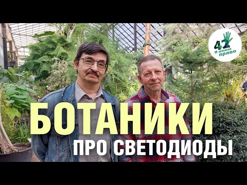 Видео: Чем опасны светодиодные гирлянды на деревьях? Мнение Александра Широкова.