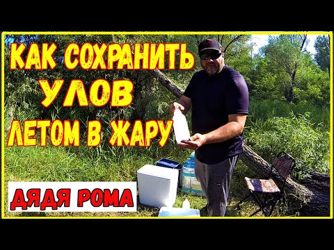 Видео: КАК СОХРАНИТЬ РЫБУ ЛЕТОМ В ЖАРУ лайфхак для рыбака, улов в безопасности