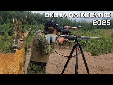 Видео: Охота на косулю! Охота в Беларуси 2025. Готовимся к охоте с RedRay и тренога Sunwayfoto