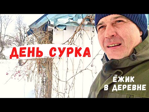 Видео: День сурка / Купили два дома в деревне