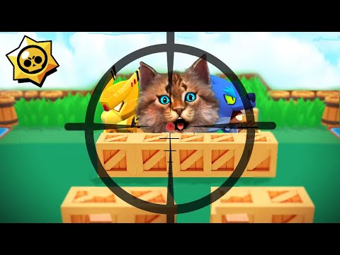 Видео: ТОП СМЕШНЫЕ МОМЕНТЫ в BRAWL STARS