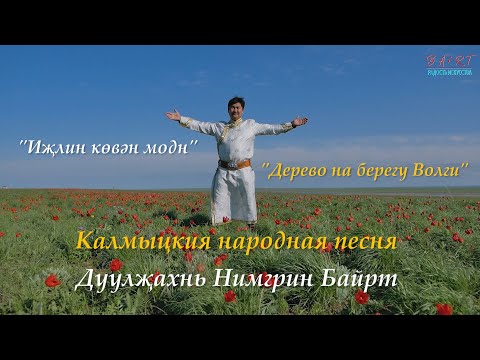 Видео: Калмыцкая народная песня - "Иҗлин көвән модн"