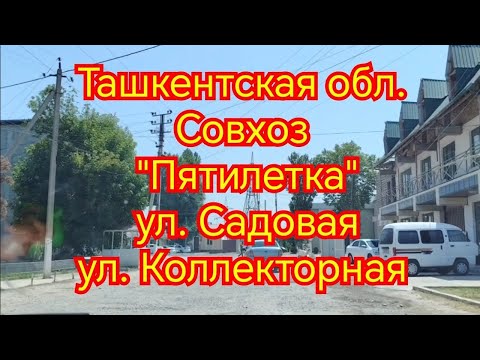 Видео: Ташкентская область совхоз Пятилетка улица Садовая улица Коллекторная