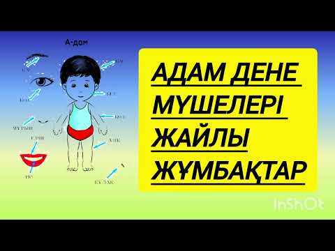 Видео: Адам мүшесіне қатысты ЖҰМБАҚТЫҢ шешімін тап. #жұмбақ #quiz #bilim #мақалмәтелдер 