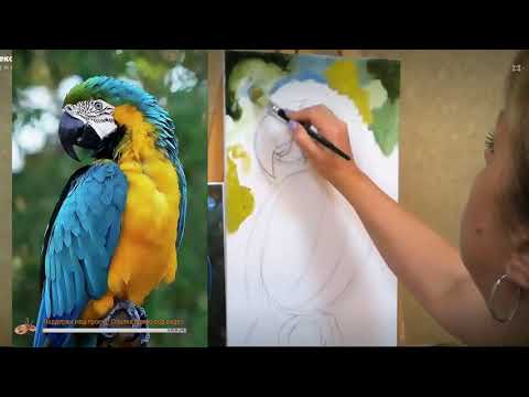 Видео: Попугай ара, холст 50х30, масло