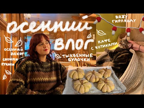 Видео: осенний влог: котокафе, тыквенные булочки, вязаная гирлянда и декор из глины