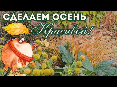 Видео: Что посадить для красивой осени? Разнообразие растений для сада.  Обзор сада. Обзор моих сортов.