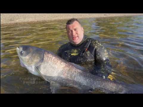 Видео: Интервью Павла Антонова. О подводном биатлоне и Подводной охоте