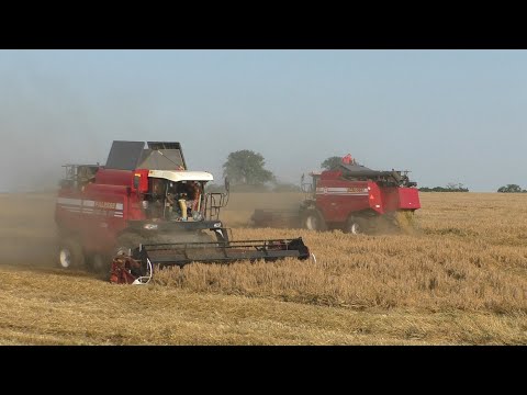 Видео: Уборка ячменя 2021/ ПАЛЕССЕ-GS12 A 1. КЗС-1218- GS 12. Беларусь