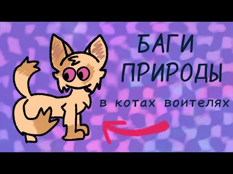 Видео: особенности котов воителей || Баги в природе коты воители || #warriorcats #возрадимрукв #котывоители