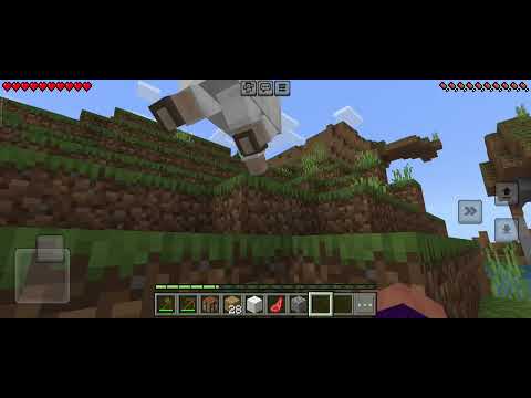 Видео: 9 ноября 2025 г.