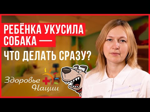 Видео: Что делать, если ребенка укусила собака? Разбираем с педиатром
