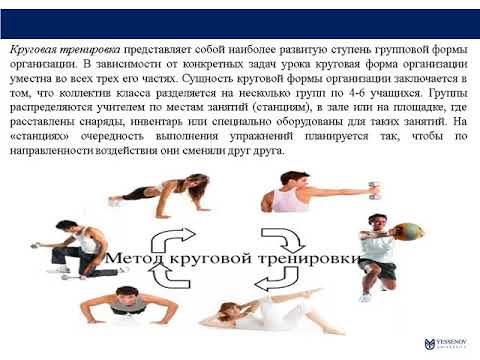 Видео: Методика преподавания физической культуры и спорта  Тема № 13