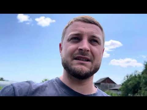 Видео: Вільні бджоломатки……