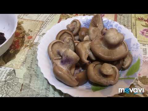 Видео: ‼️Первый раз жарю синеножки☝👍 Очень вкусно 😋🤤‼️ Как приготовить синеножки🍄❓