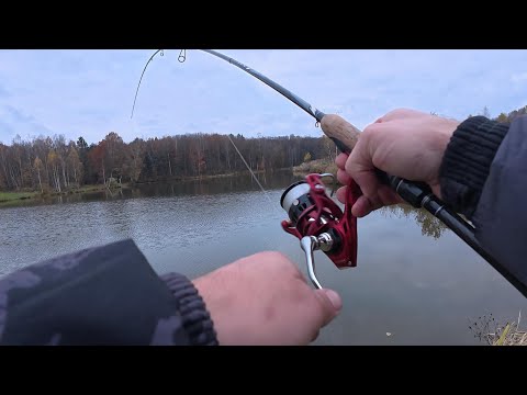 Видео: Рыбалка на хищника — приманка, которая работает всегда