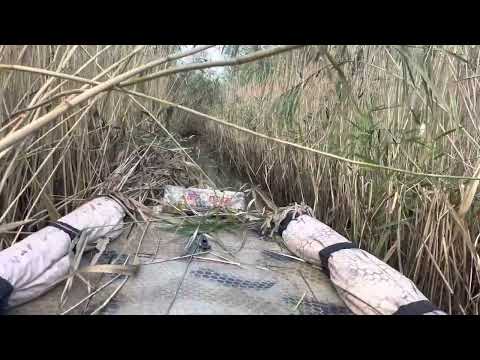 Видео: В поисках дичи!🦆🦆🦆