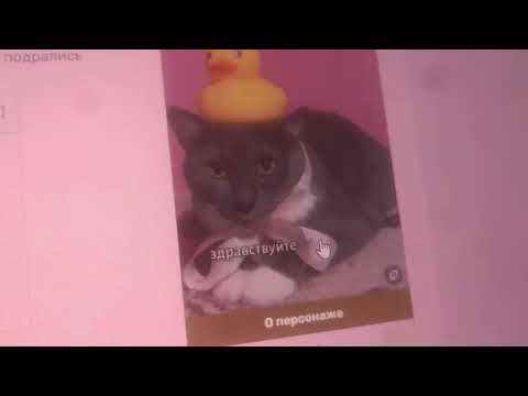 Видео: Почему Котики носят игрушки? (Kotiynet теория.)