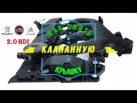 Видео: Как снять крышку клапанов 2.0 HDI